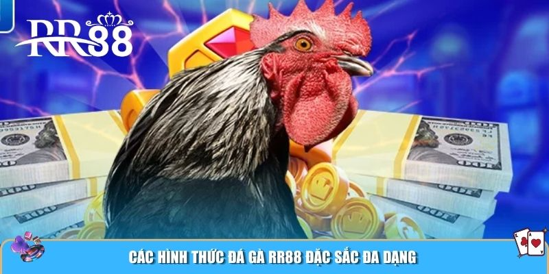Các hình thức đá gà RR88 đặc sắc đa dạng
