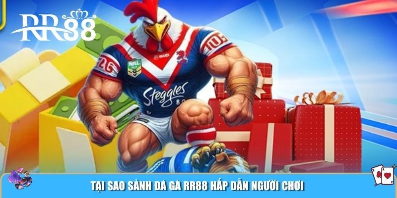 Tại sao sảnh đá gà RR88 hấp dẫn người chơi